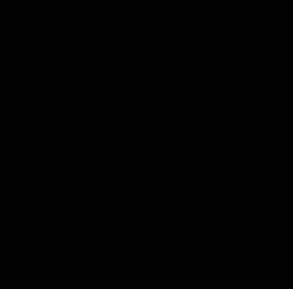 Pet-pvc-022-10